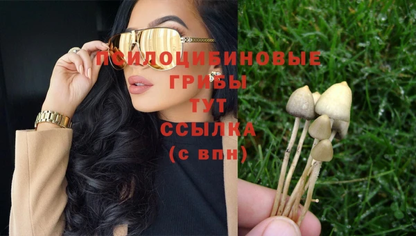 марки nbome Горняк